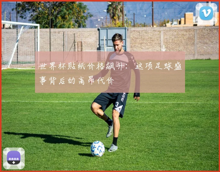 世界杯贴纸价格飙升：这项足球盛事背后的高昂代价